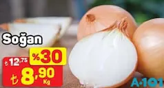SOĞAN KG SOĞAN KG